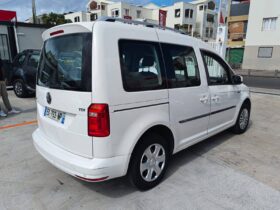 Volkswagen Caddy IV 2.0 TDI 102ch Beach