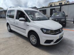 Volkswagen Caddy IV 2.0 TDI 102ch Beach