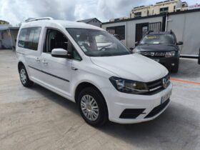 Volkswagen Caddy IV 2.0 TDI 102ch Beach