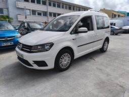 Volkswagen Caddy IV 2.0 TDI 102ch Beach