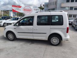 Volkswagen Caddy IV 2.0 TDI 102ch Beach