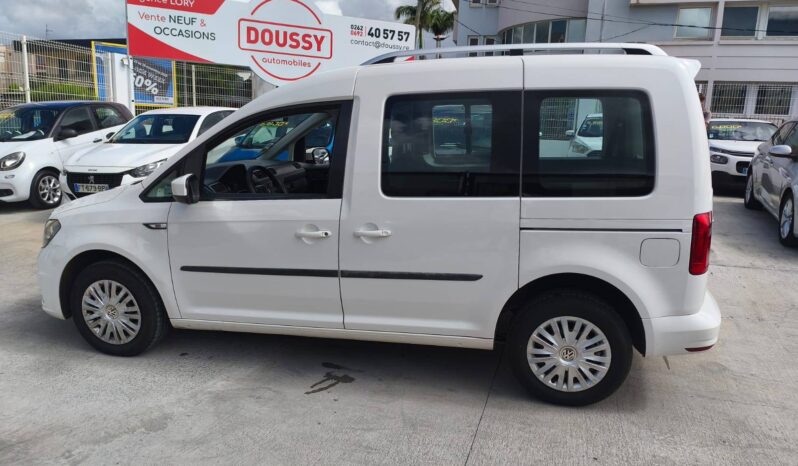 
								Volkswagen Caddy IV 2.0 TDI 102ch Beach complet									